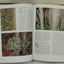 Lichens of North America by Brodo, Irwin M.