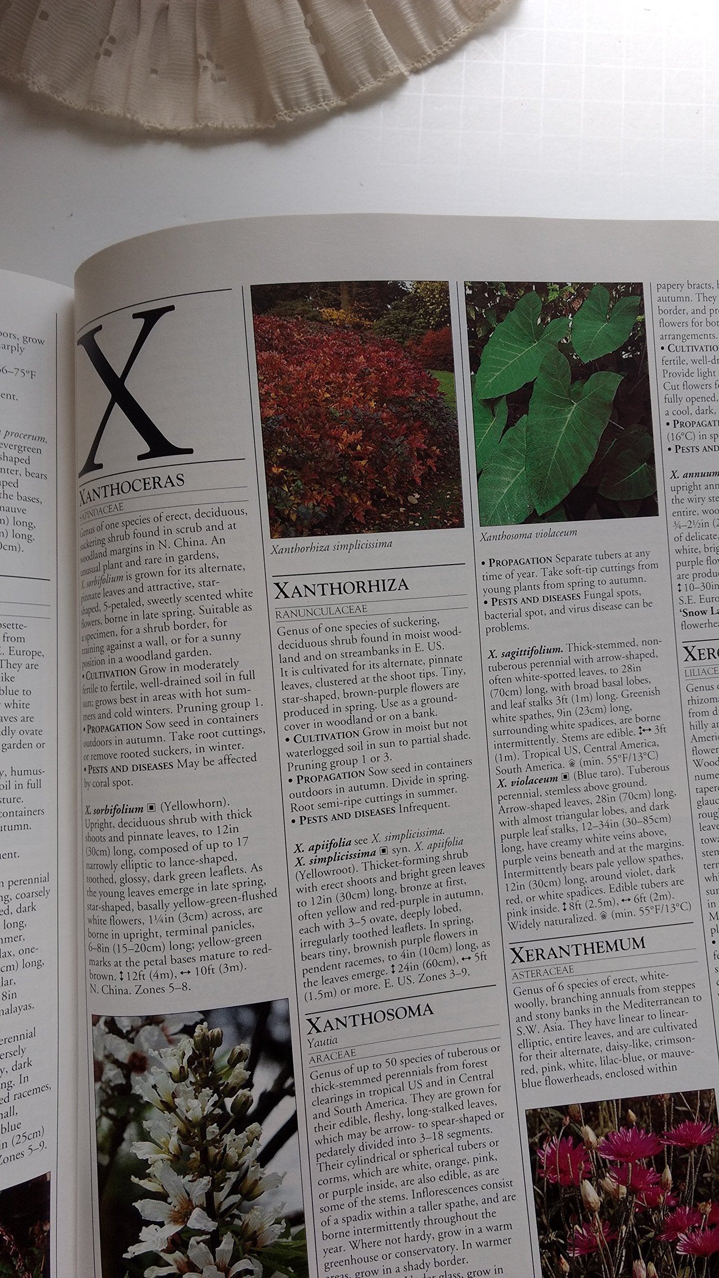 The American Horticultural Society A-Z Encyclopedia of Garden Plants
