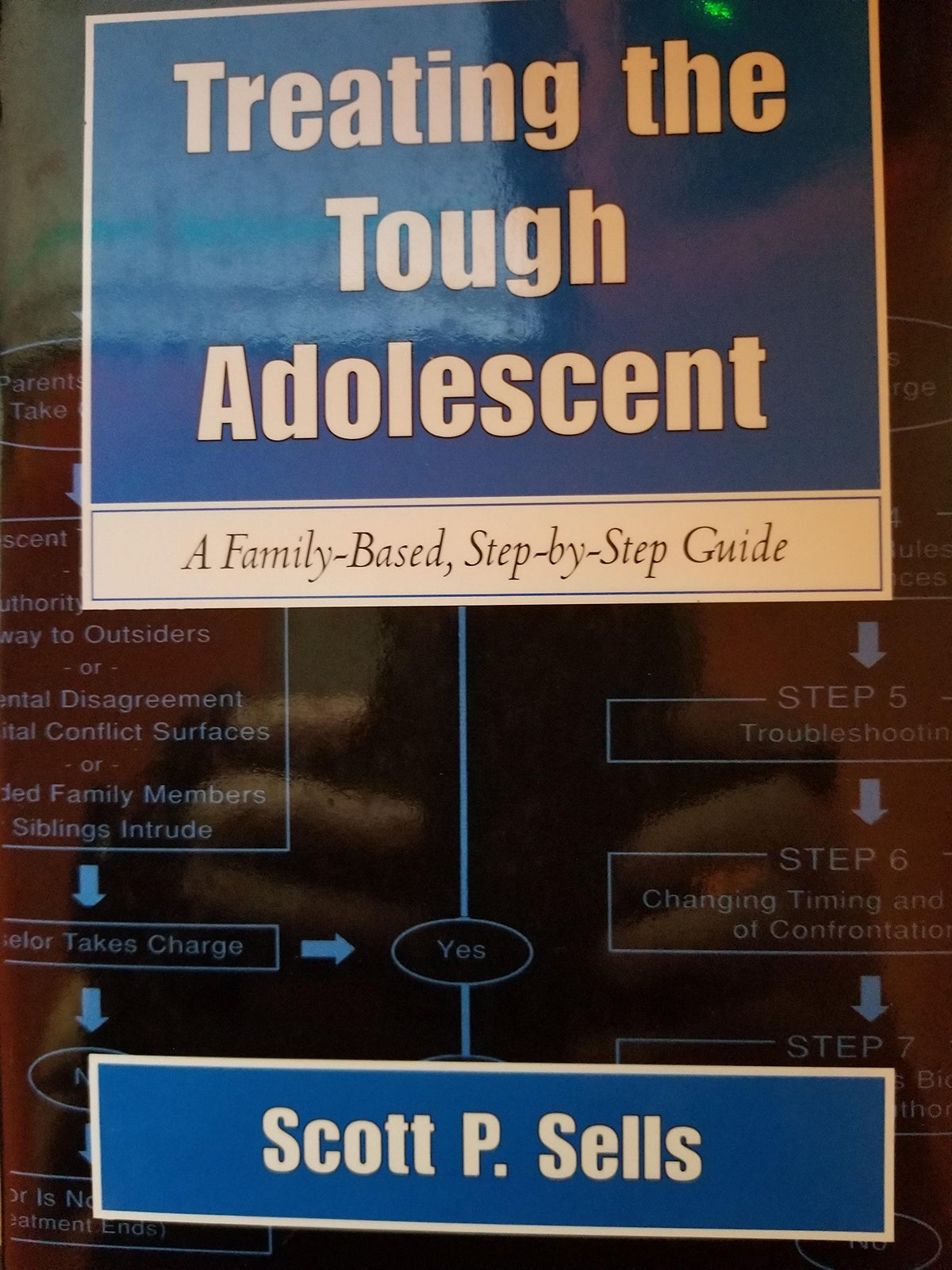 Treating the Tough Adolescent: A Family-Based, Step-by-Step Guide