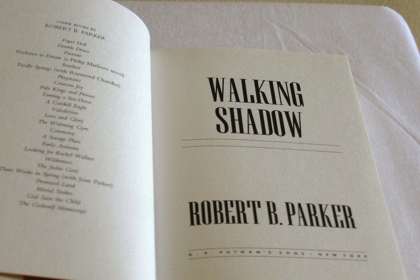 Walking Shadow