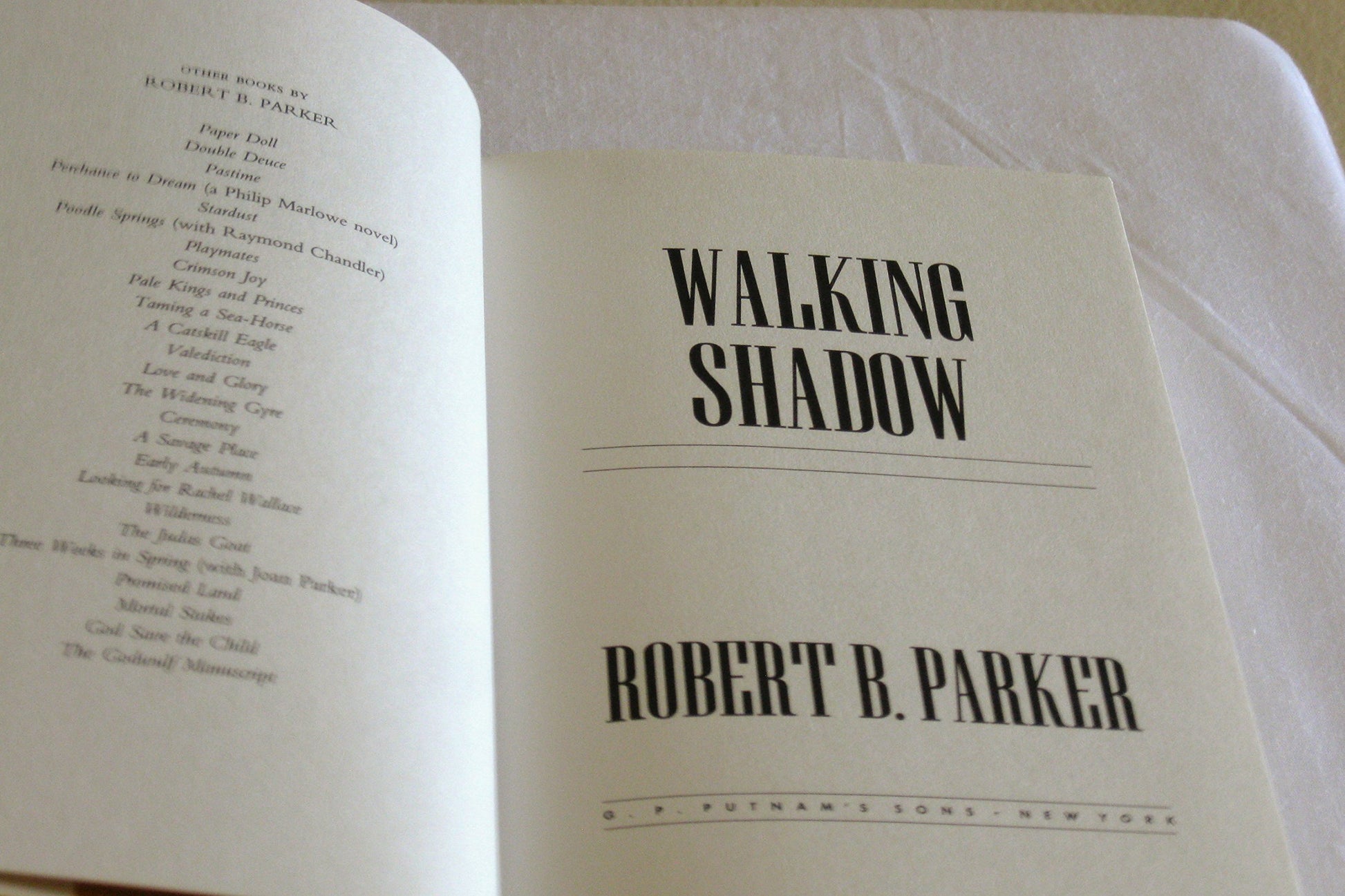 Walking Shadow