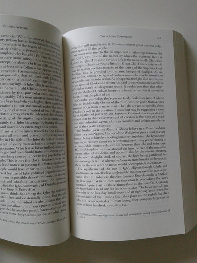 Things Fall Apart (Norton Critical Editions) by Chinua Achebe