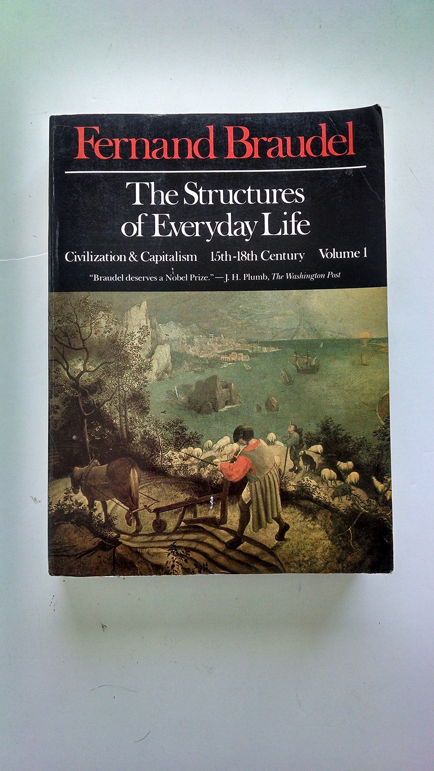 The Structures of Everyday Life: Civilization and Capitalism