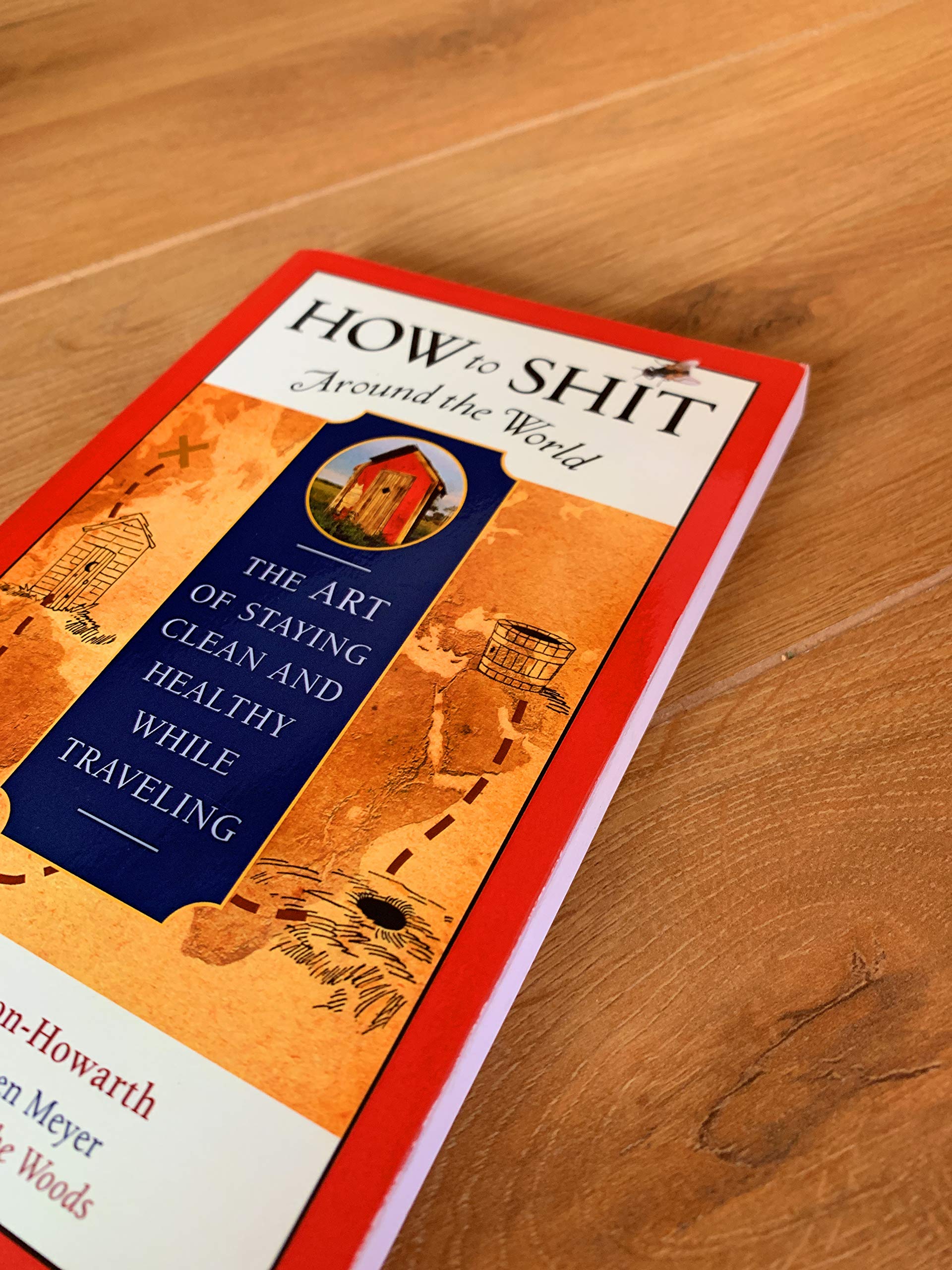 How to Shit Around the World: The Art of Staying Clean and Healthy While Traveling (Travelers' Tales Guides)
