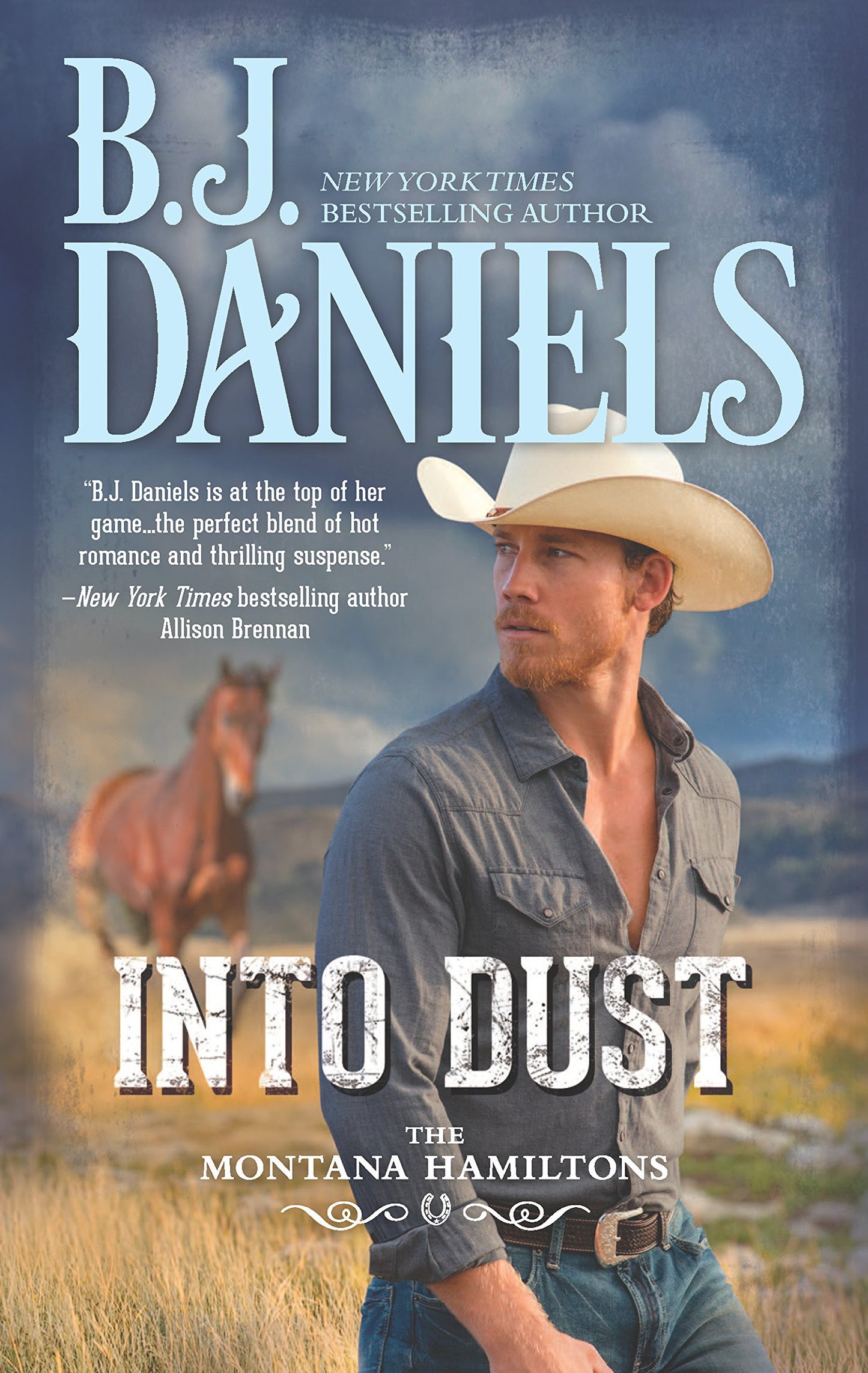 Into Dust (The Montana Hamiltons, 5)