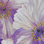Poppies in Bloom Note Cards (14 cards, 15 self-sealing envelopes)