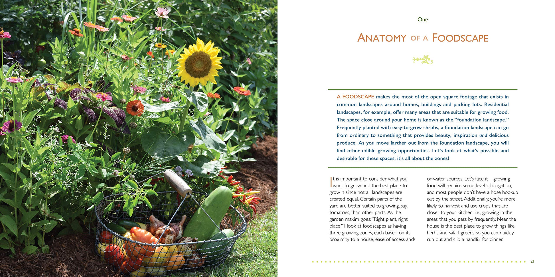 The Foodscape Revolution: Finding a Better Way to Make Space for Food and Beauty in Your Garden