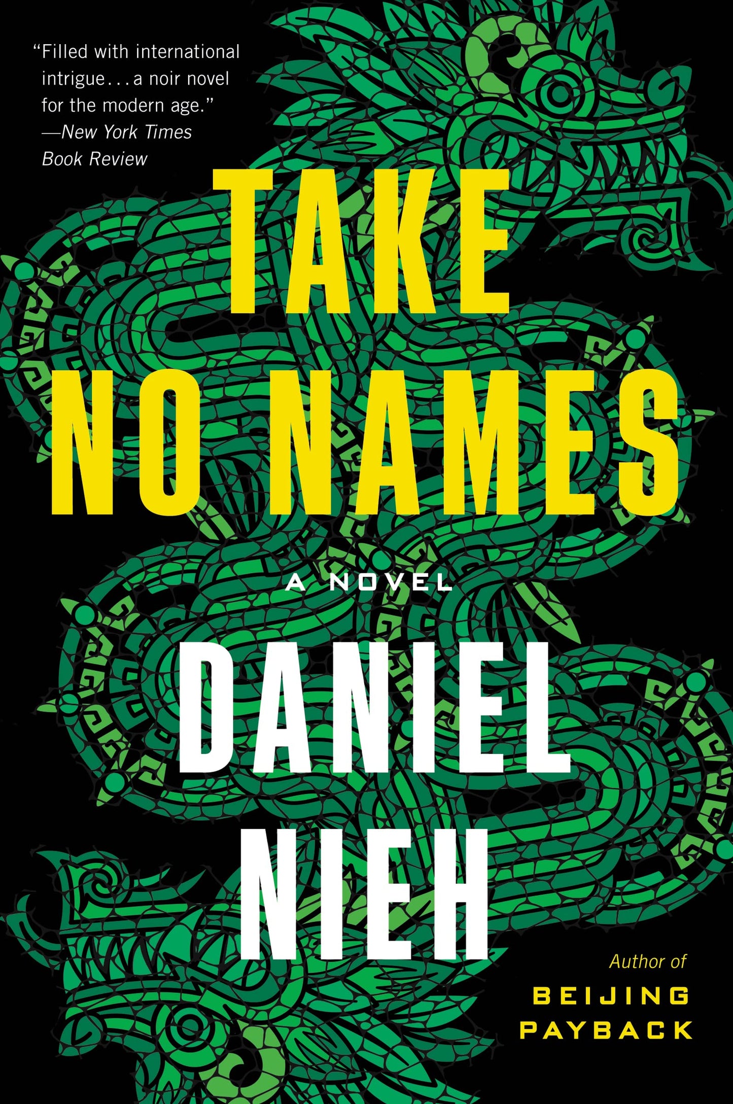 Take No Names: A High-Stakes International Political Thriller - Fugitive, Conspiracy, and Crime in Mexico City