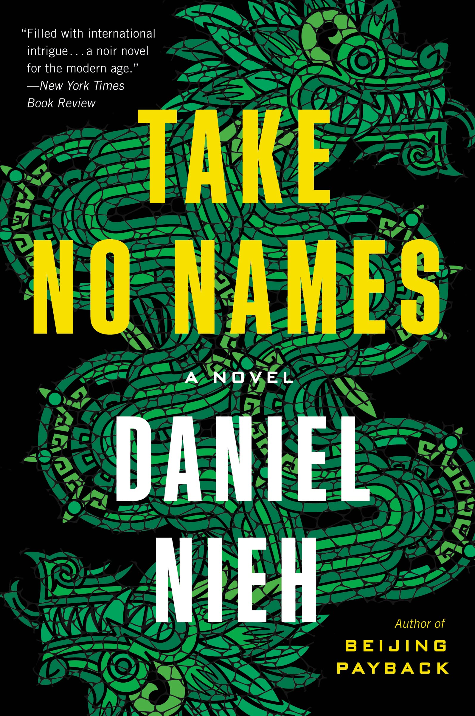 Take No Names: A High-Stakes International Political Thriller - Fugitive, Conspiracy, and Crime in Mexico City