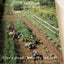The Victory Garden Cookbook