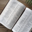 NLT Thinline Center-Column Reference Bible, Filament-Enabled Edition (LeatherLike, Rustic Brown, Indexed, Red Letter)