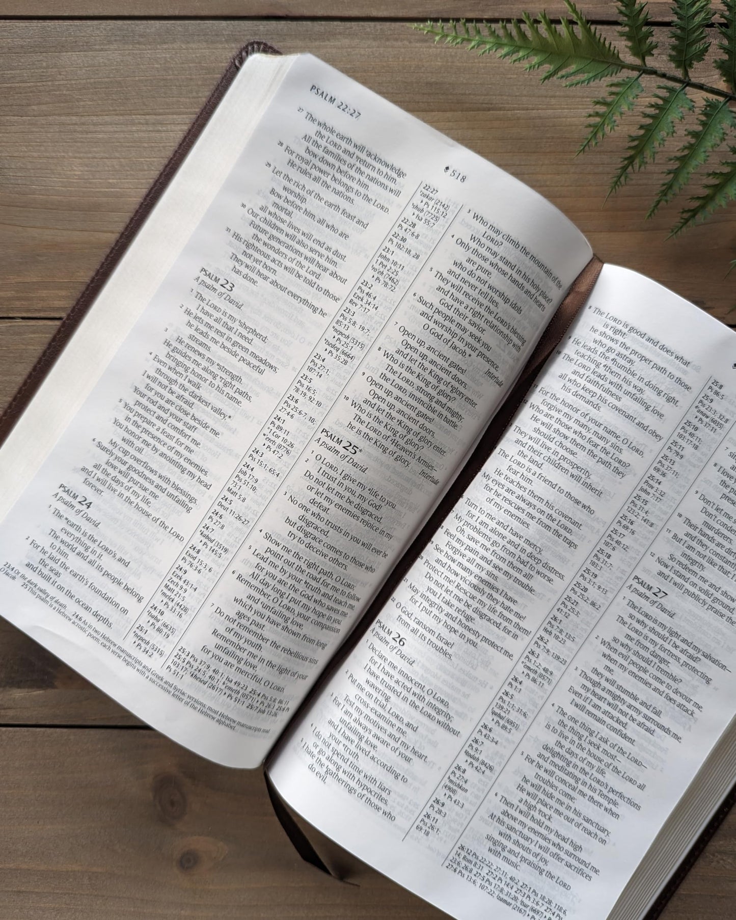 NLT Thinline Center-Column Reference Bible, Filament-Enabled Edition (LeatherLike, Rustic Brown, Indexed, Red Letter)