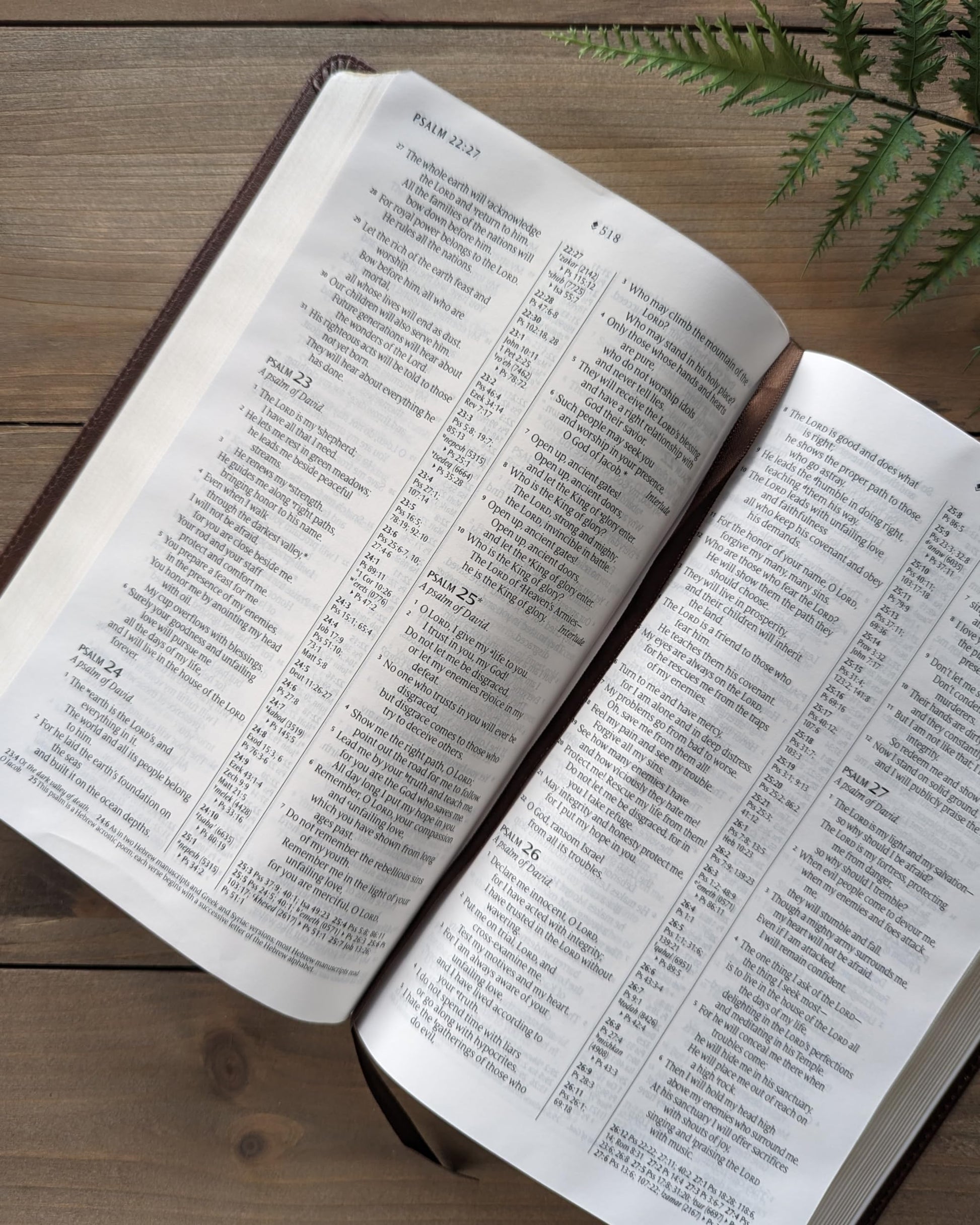 NLT Thinline Center-Column Reference Bible, Filament-Enabled Edition (LeatherLike, Rustic Brown, Indexed, Red Letter)