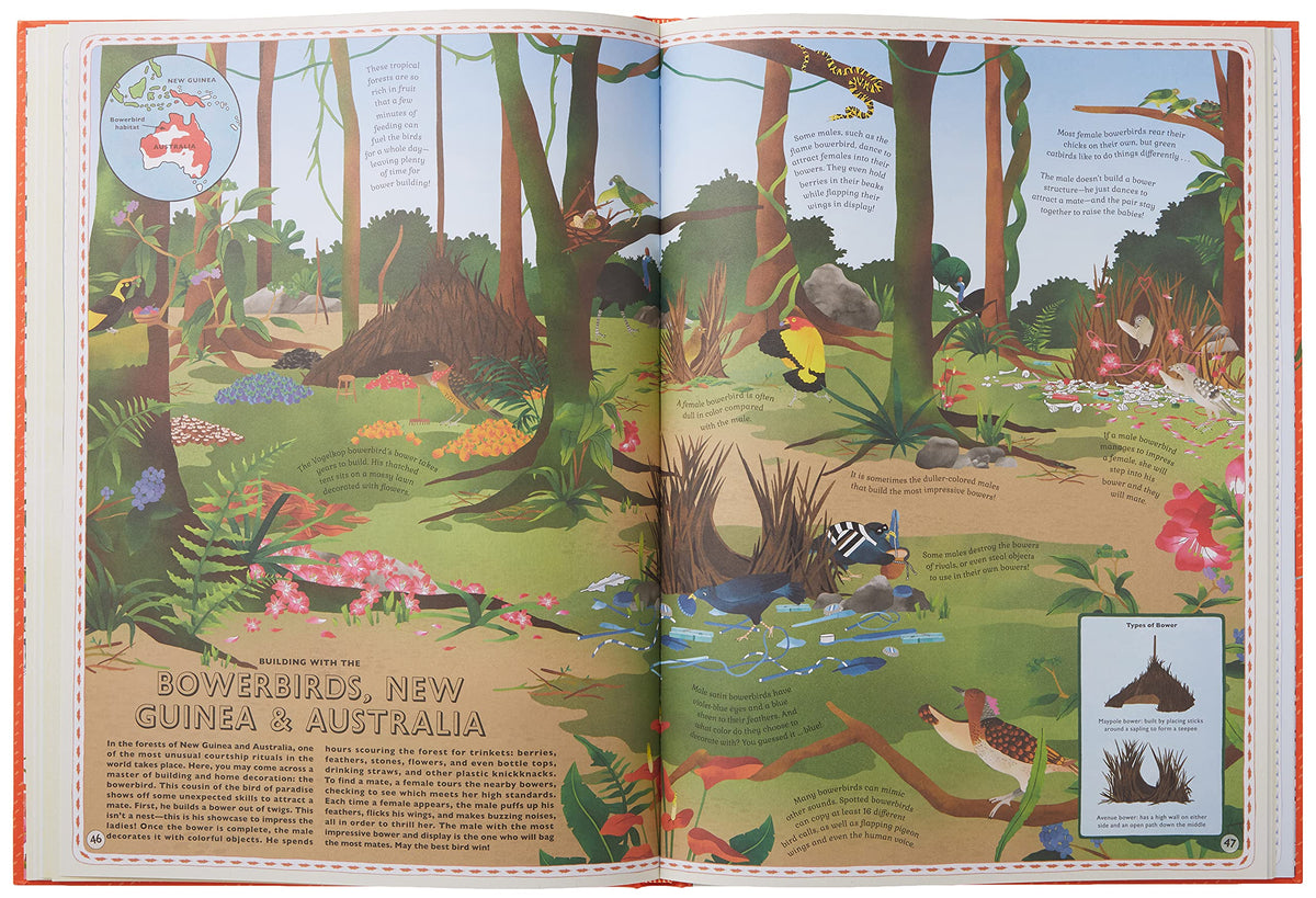 Atlas of Animal Adventures: A collection of nature's most unmissable events, epic migrations and extraordinary behaviours