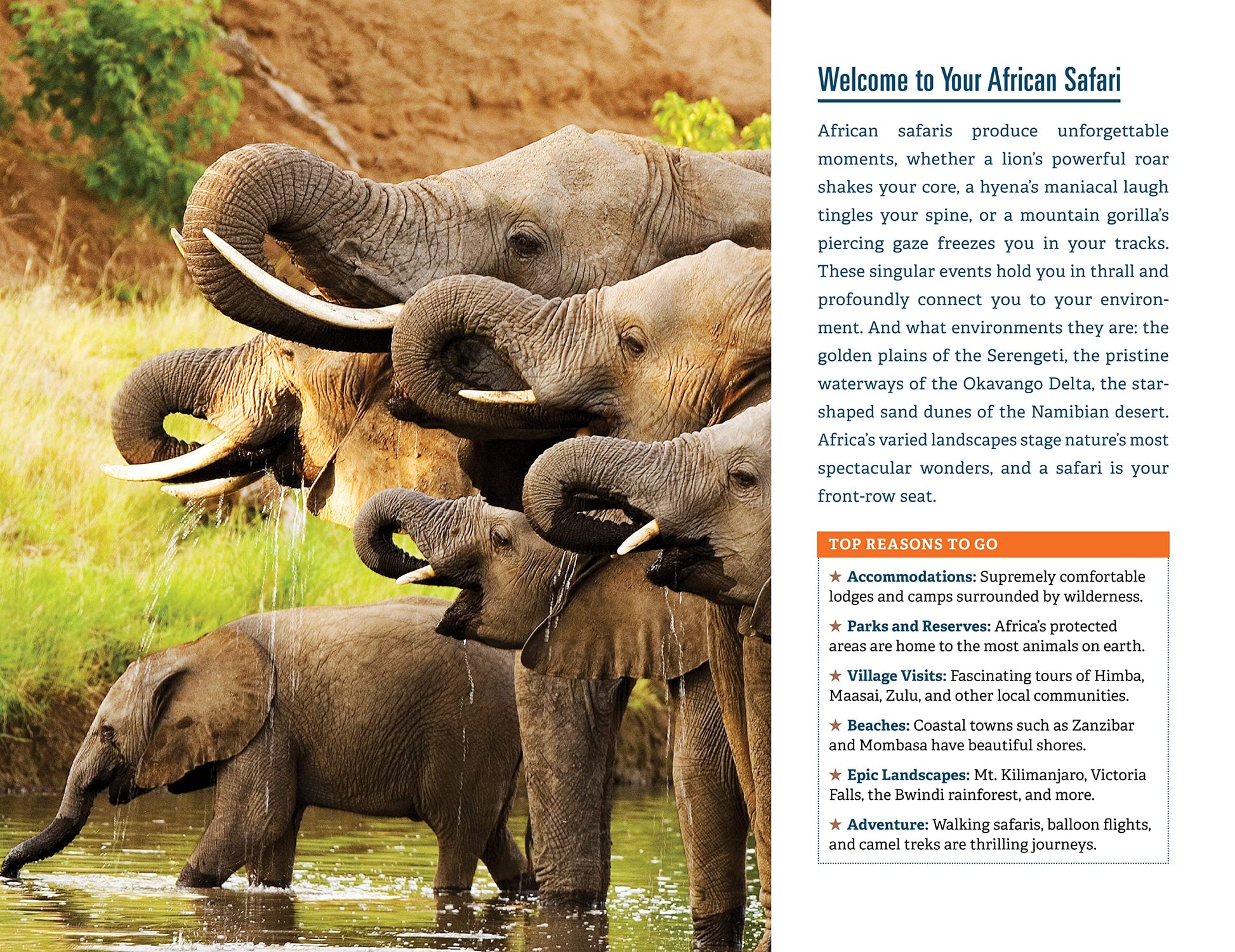 Fodor's The Complete Guide to African Safaris: with South Africa, Kenya, Tanzania, Botswana, Namibia, Rwanda, Uganda, and Victoria Falls (Full-color Travel Guide)