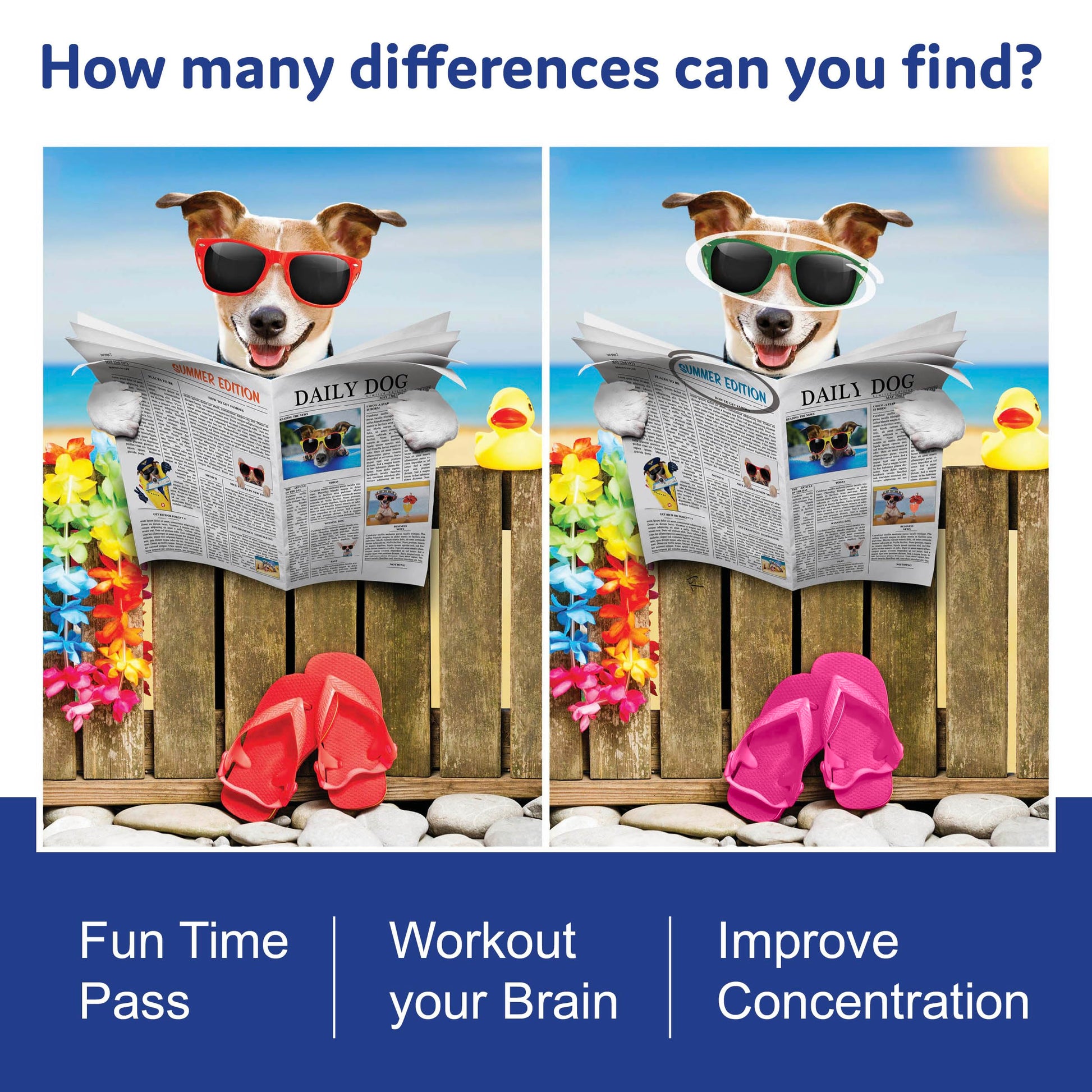 Spot The Difference Puzzle Books, Picture Puzzle Books for Adults and Kids with Over 15 Picture Puzzles, Train Your Brain with Fun Puzzle Activities for All Ages, Volume 2