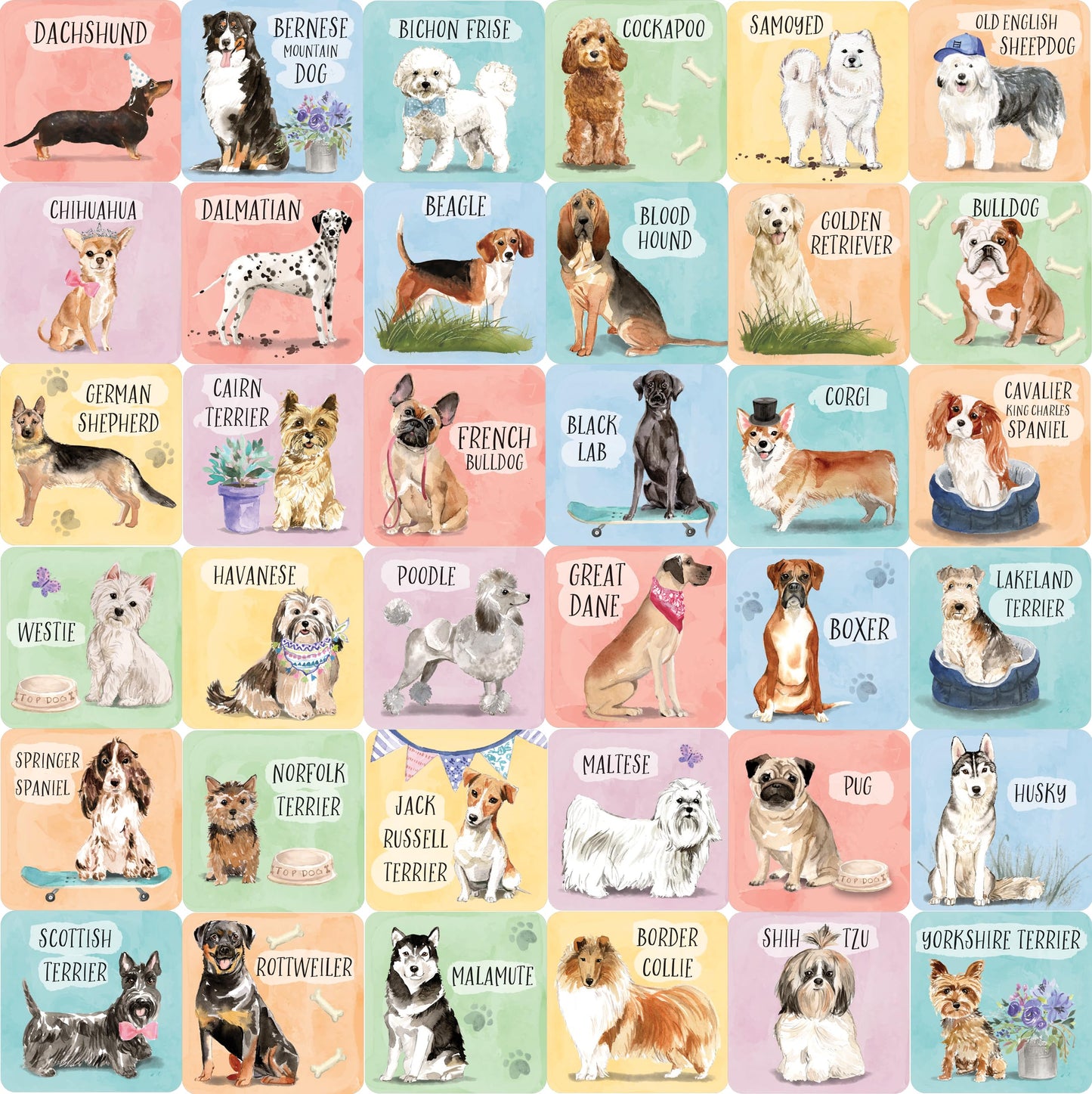 Dogs Memory Match Game (Set of 72 cards) by Peter Pauper Pre