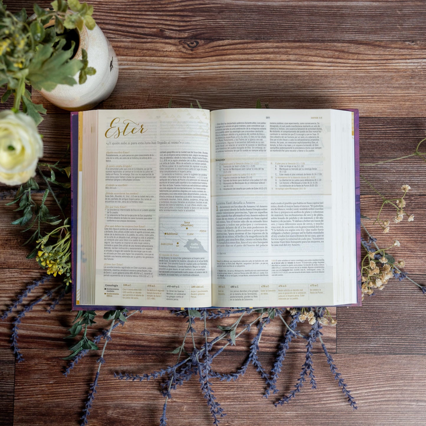 Biblia Reina Valera 1960 de Estudio para Mujeres, Tapa dura  RVR 1960 Women's Study Bible, Hardcover (Spanish Edition)