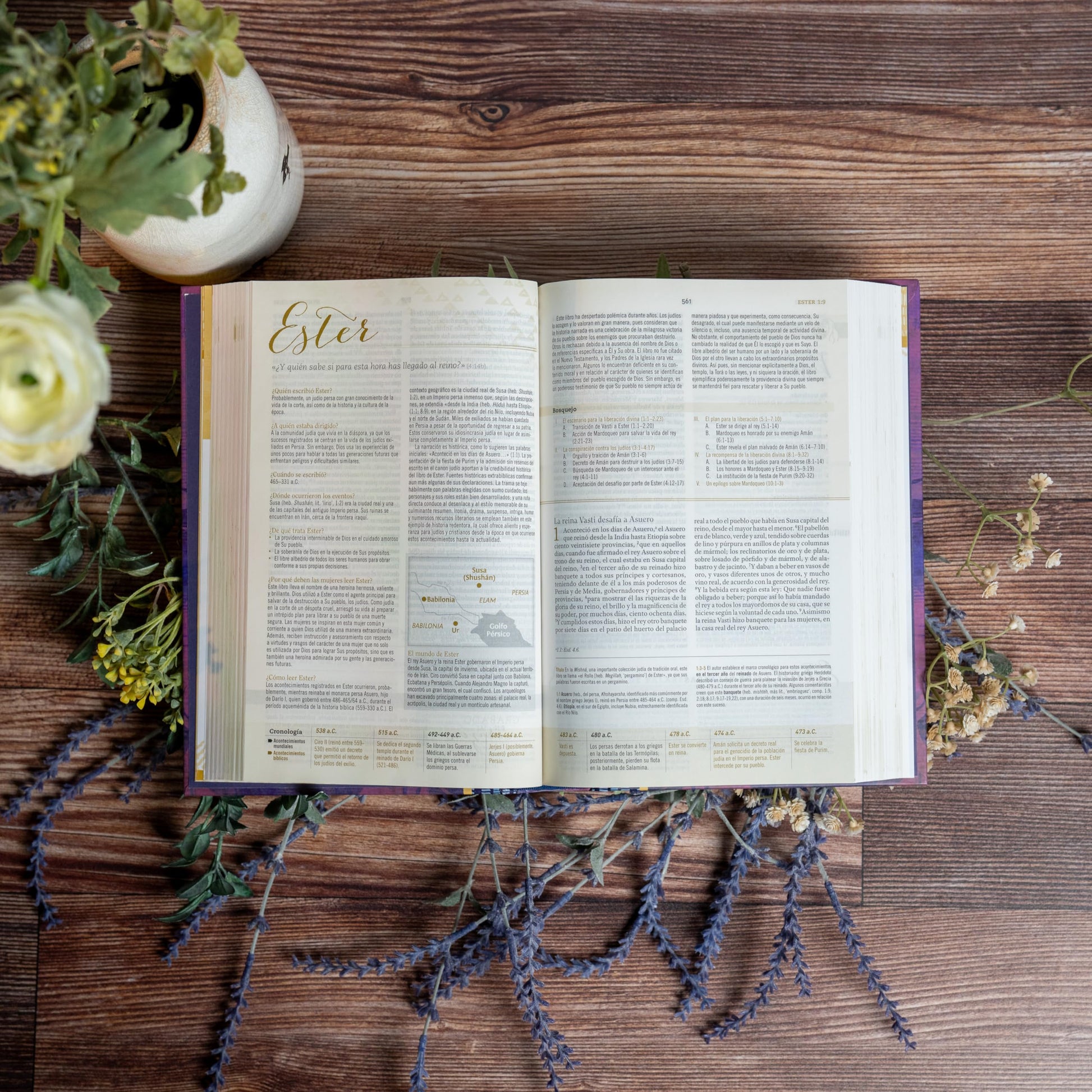 Biblia Reina Valera 1960 de Estudio para Mujeres, Tapa dura  RVR 1960 Women's Study Bible, Hardcover (Spanish Edition)