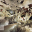 Geography: A Visual Encyclopedia (DK Children's Visual Encyc