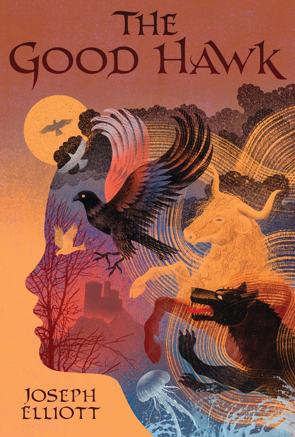 The Good Hawk (Shadow Skye, Book One) (Shadow Skye Trilogy)