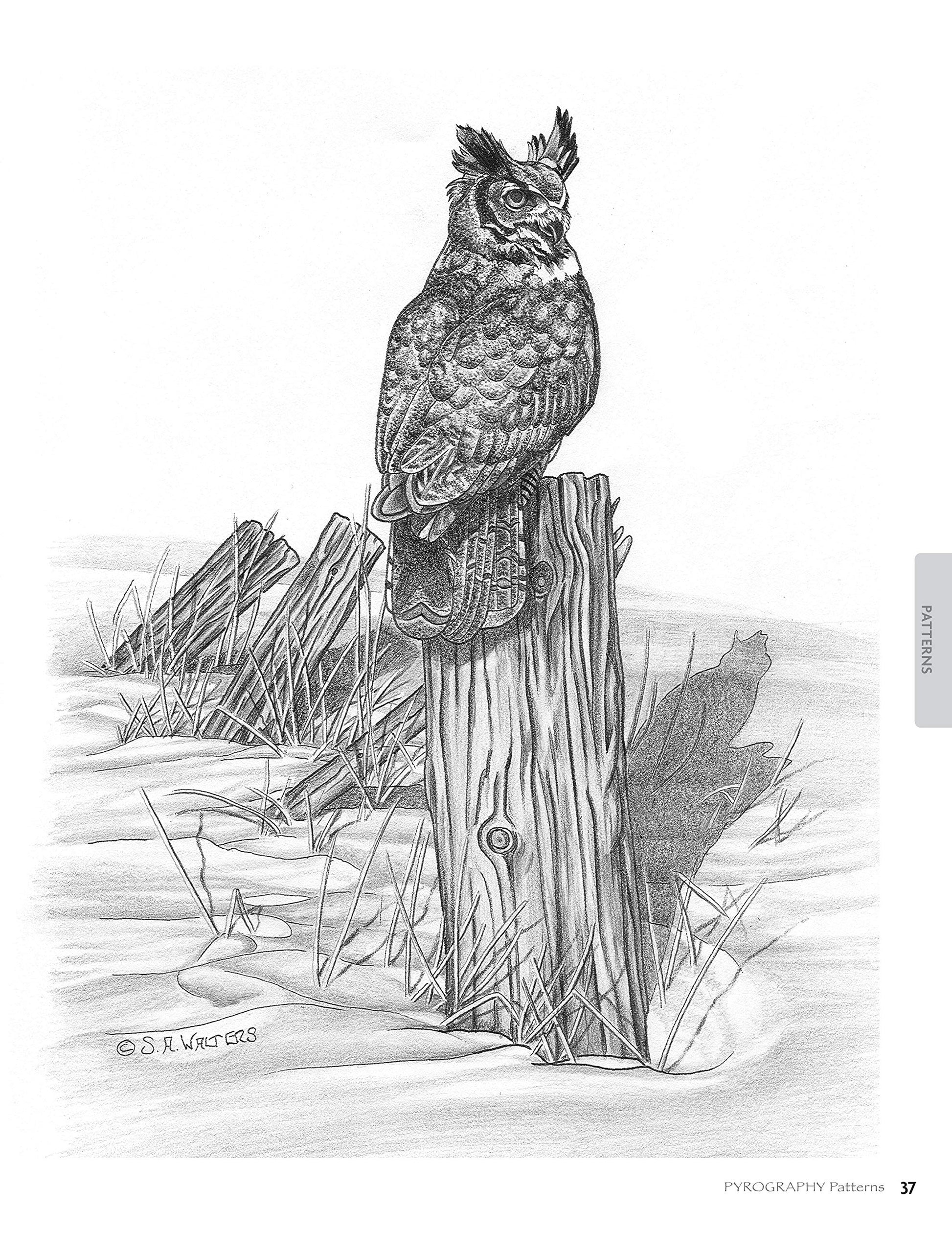 Pyrography Patterns: Basic Techniques and 30 Wildlife Designs for Woodburning (Fox Chapel Publishing) Large, Ready-to-Use Patterns, Both Line and Tonal, plus Tips & Advice from Artist Sue Walters