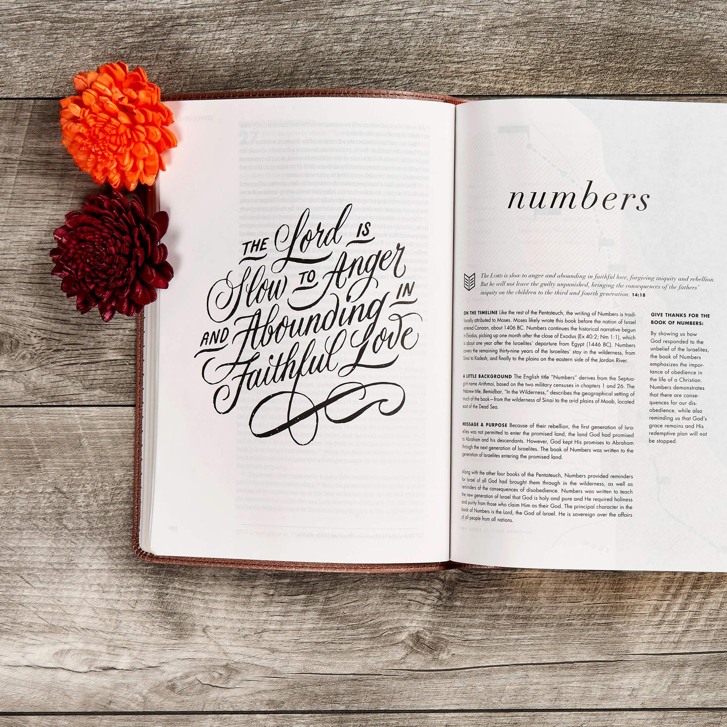 CSB She Reads Truth Bible, Rose Gold LeatherTouch, Black Letter