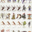 Pathfinder Bestiary 2 Pawn Collection (P2) by Staff, Paizo