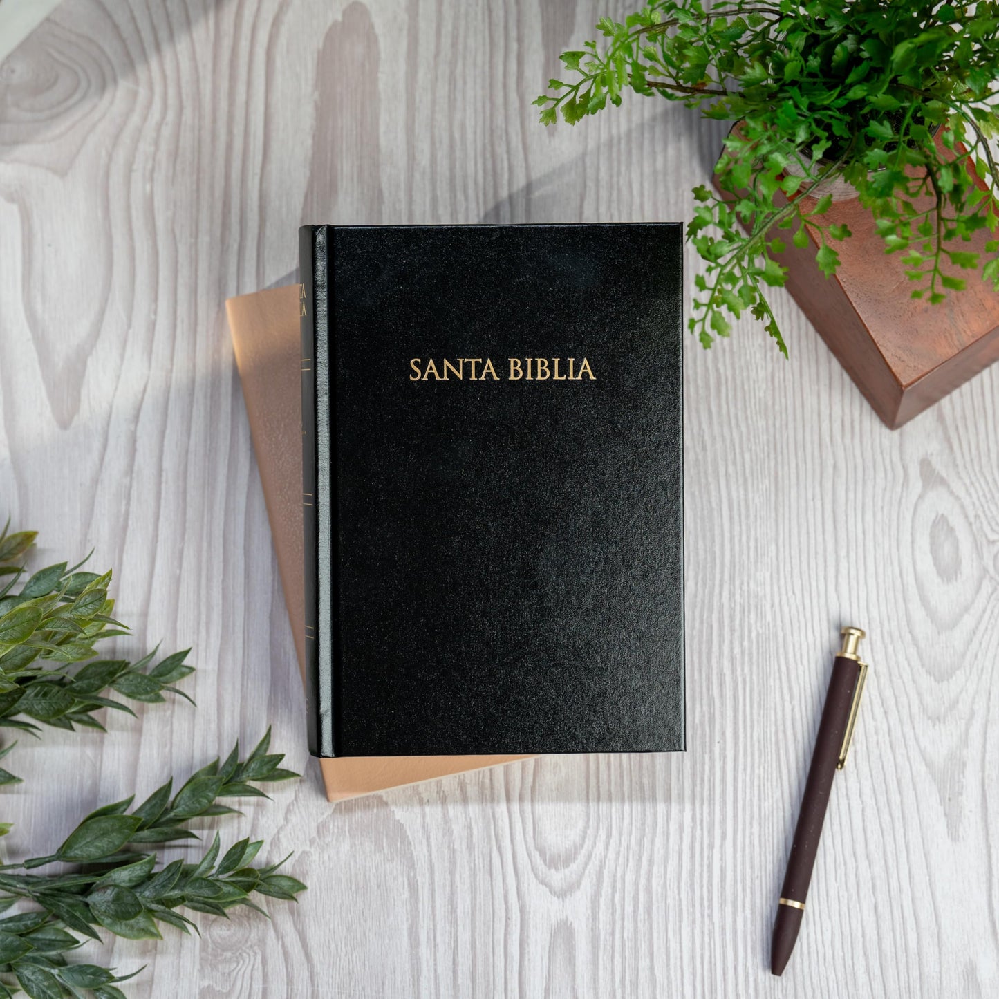 Santa Biblia: Reina-valera 1960 para regalos y pemios negro imitación piel
