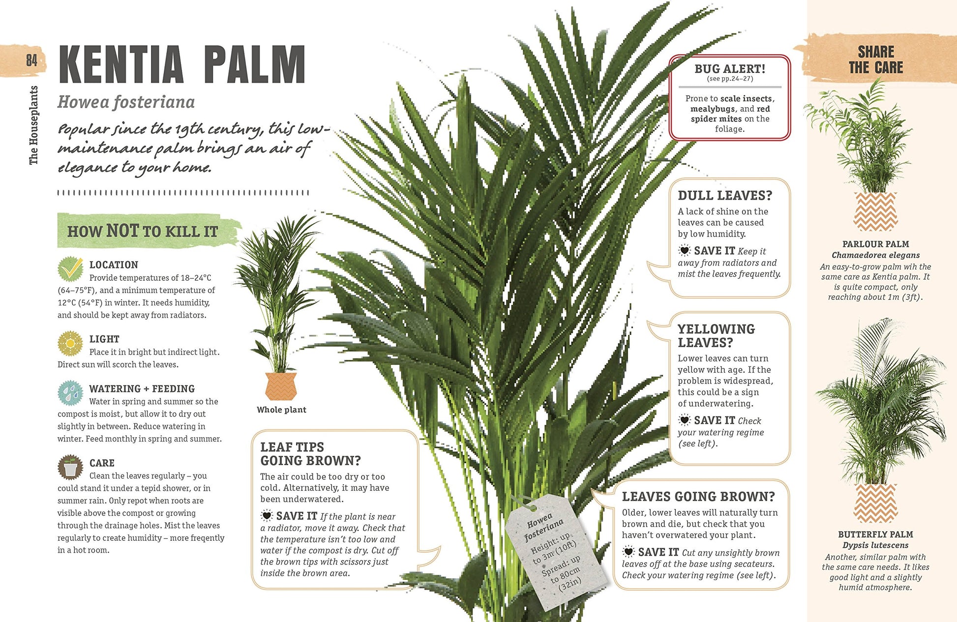 How Not to Kill Your Houseplant: Survival Tips for the Horticulturally Challenged