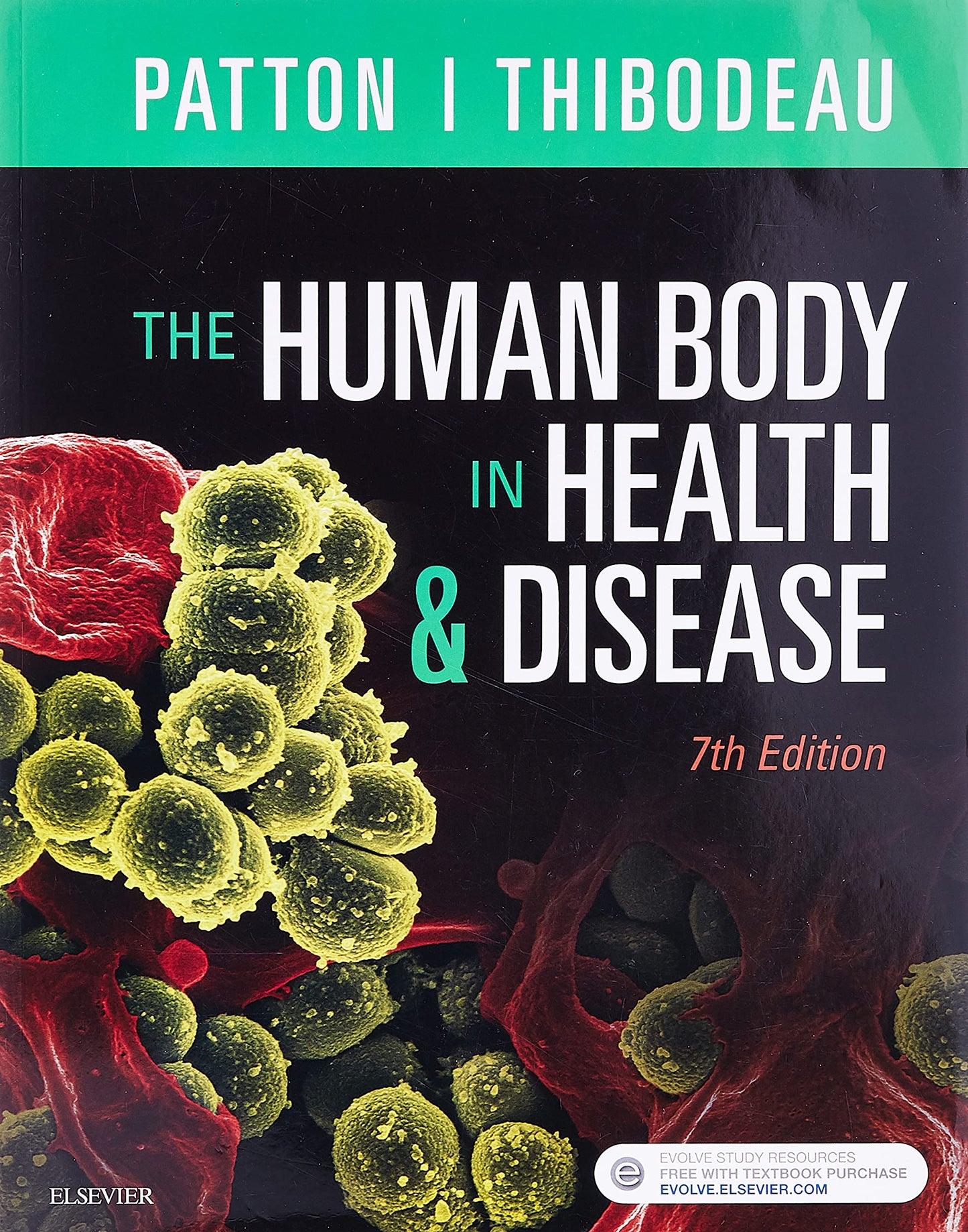 The Human Body in Health & Disease - Softcover by Patton PhD