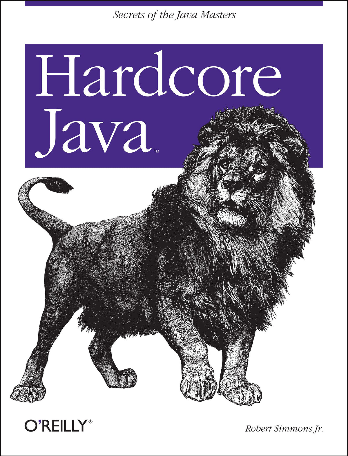 Hardcore Java: Secrets of the Java Masters