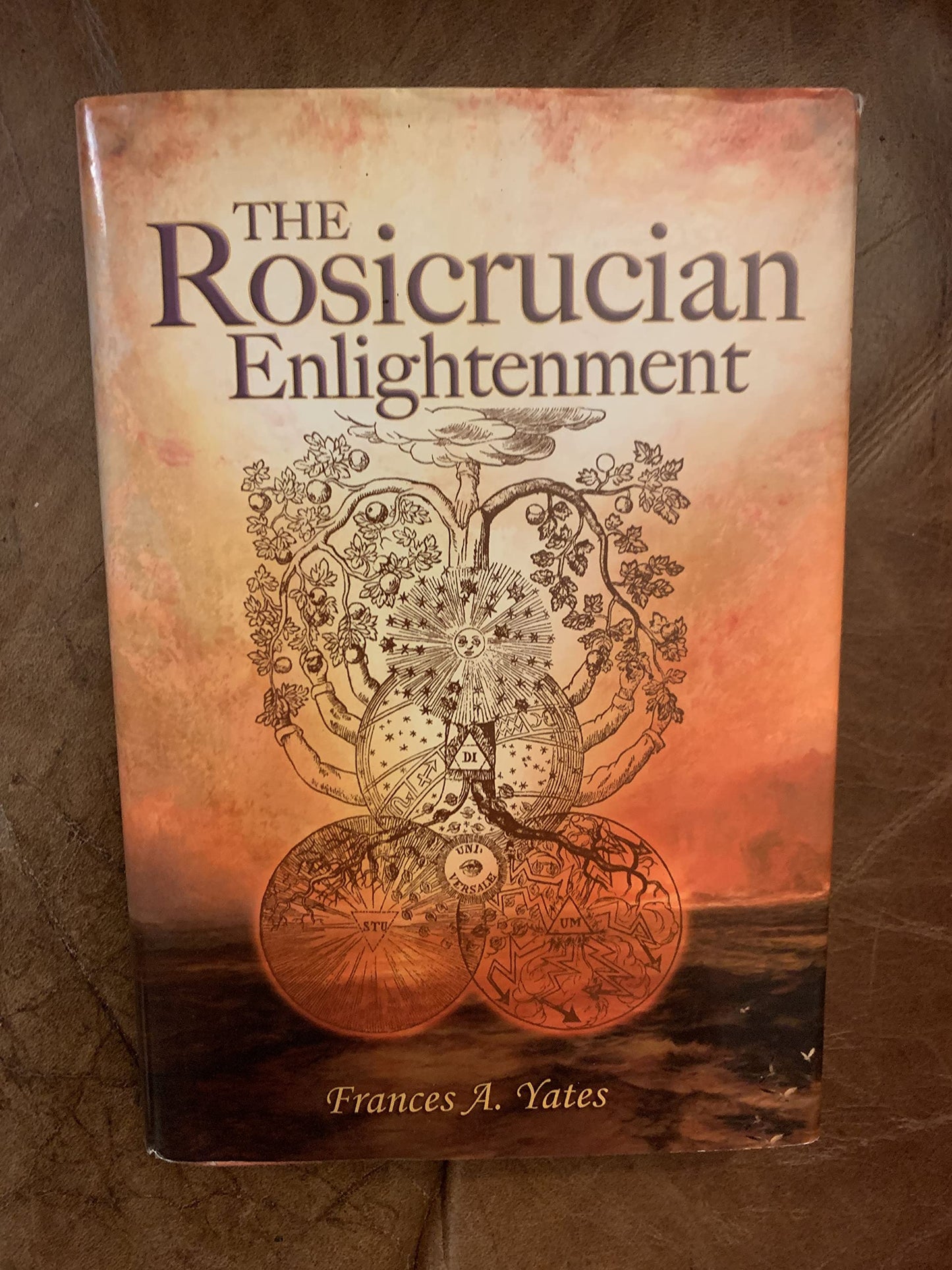 The Rosicrucian Enlightenment by Yates, Frances A.