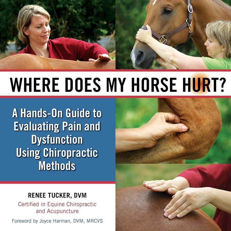 Where Does My Horse Hurt? A Hands-On Guide to Evaluating Equine Pain