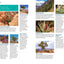 Fodor's InFocus Grand Canyon (Full-color Travel Guide)