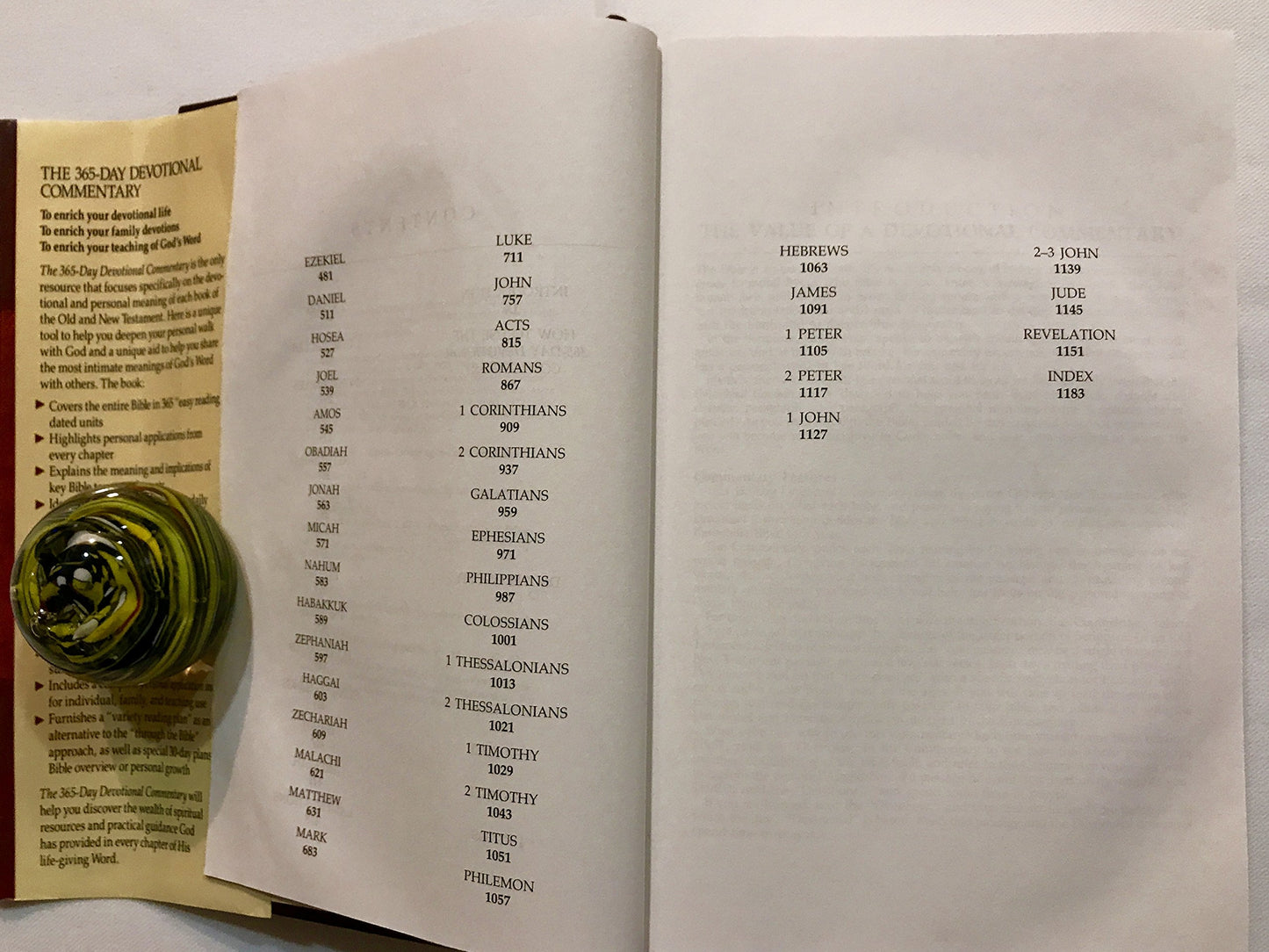 365 Day Devotional Commentary by Richards, Larry