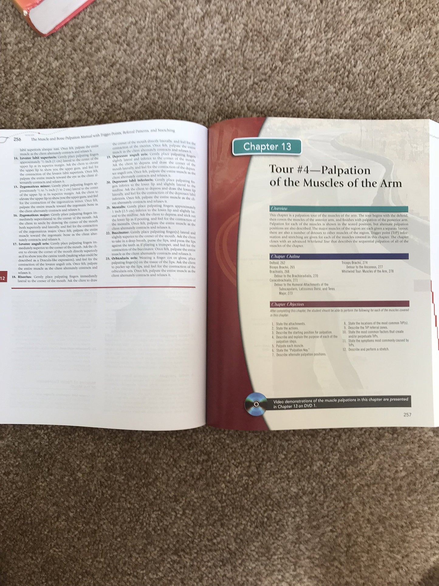 The Muscle and Bone Palpation Manual with Trigger Points, Re