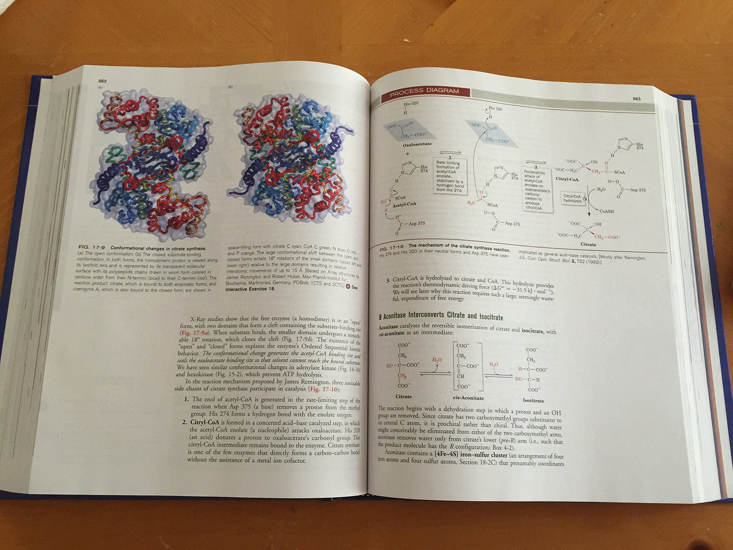 Fundamentals of Biochemistry: Life at the Molecular Level, 4th Edition