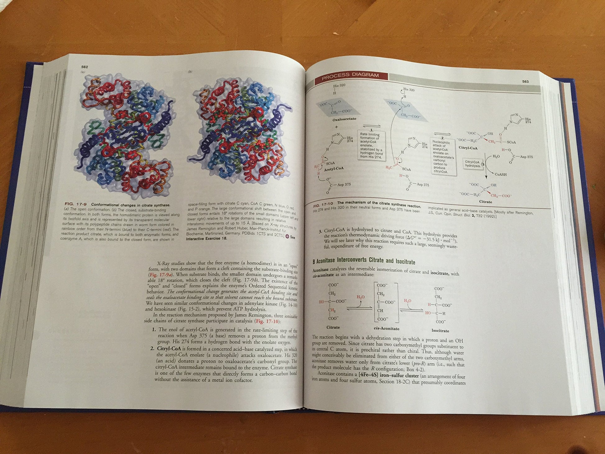 Fundamentals of Biochemistry: Life at the Molecular Level, 4th Edition