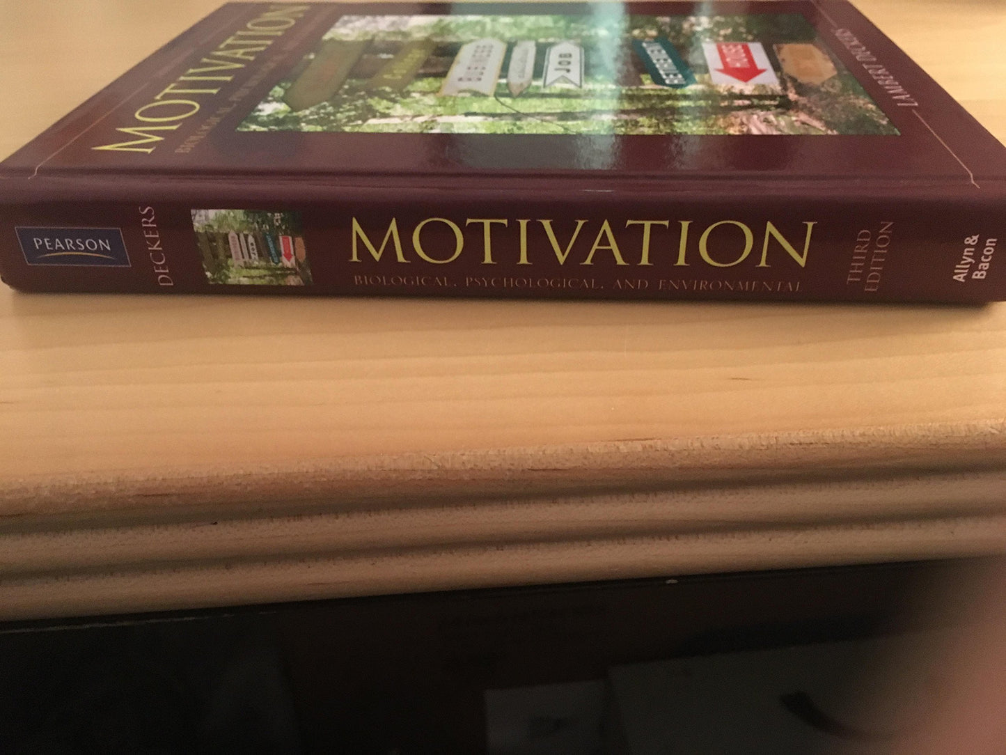Motivation: Biological, Psychological, and Environmental (3rd Edition)