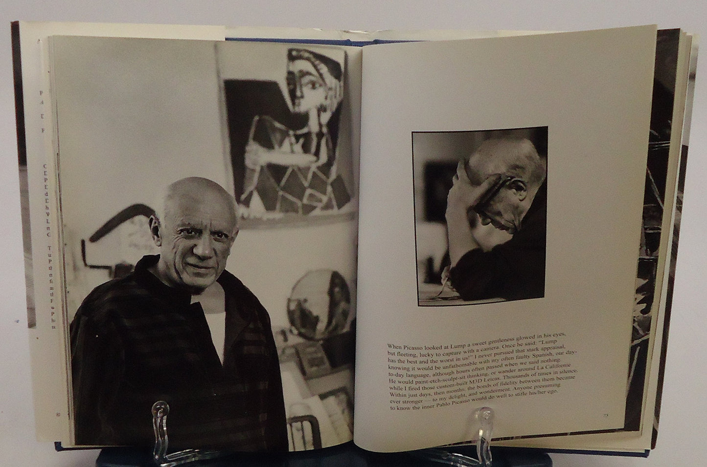 Picasso & Lump: A Dachshund's Odyssey