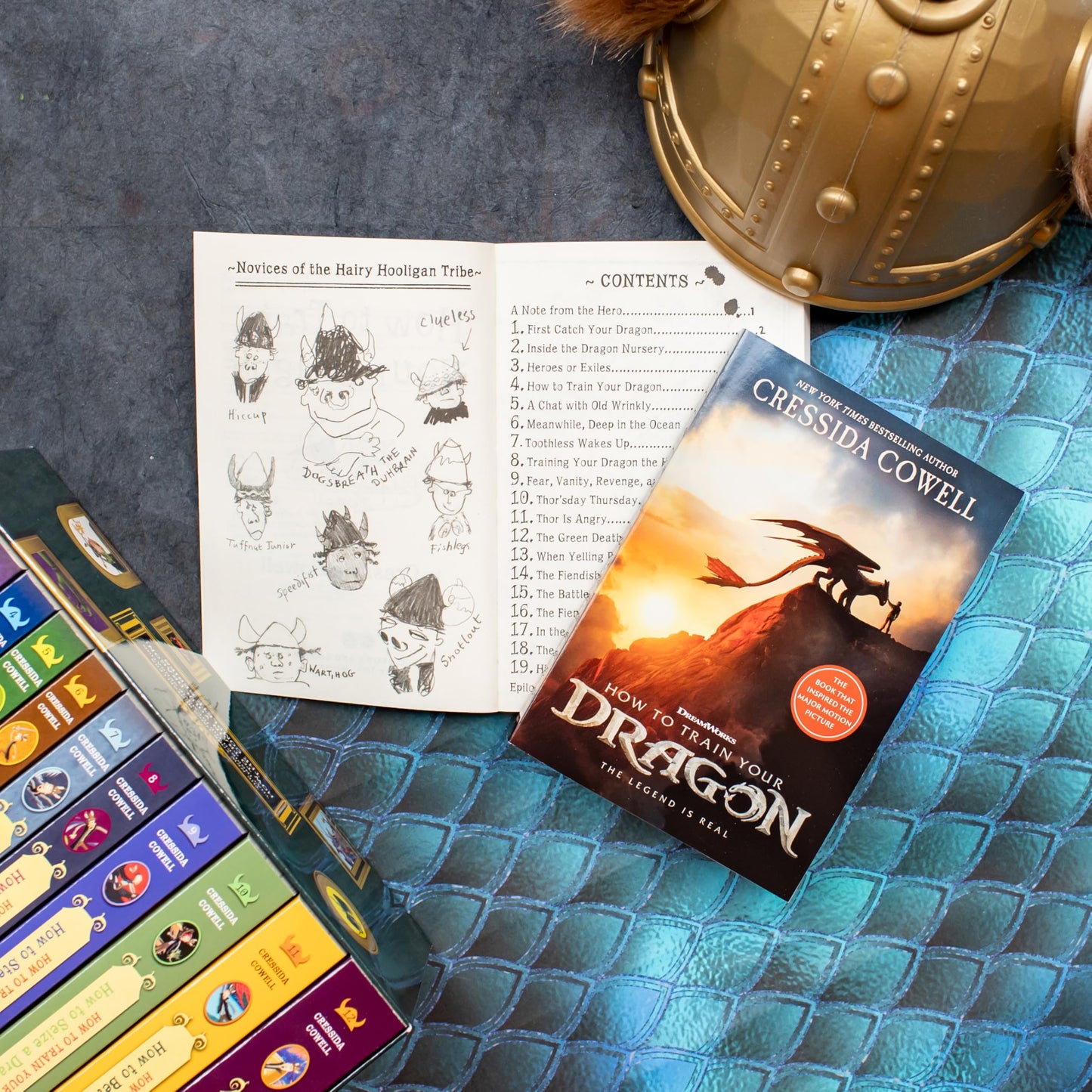 How to Train Your Dragon
