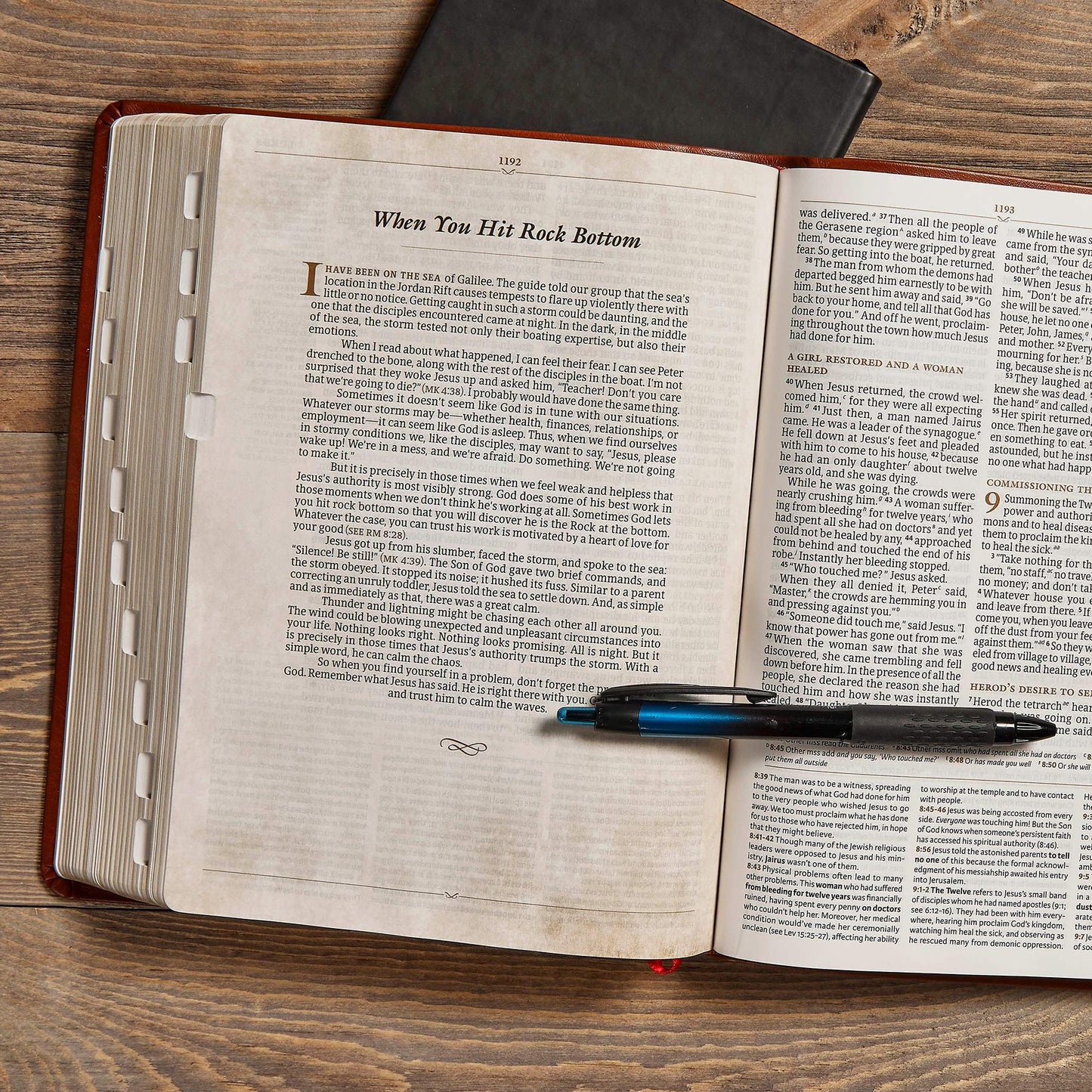 CSB Tony Evans Study Bible, British Tan LeatherTouch, Indexed, Black Letter, Study Notes and Commentary, Articles, Videos, Charts, Easy-to-Read Bible Serif Type