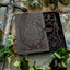 The Cruel Prince: Collectors Edition (Folk of the Air, 1)