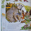How Groundhog's Garden Grew by Cherry, Lynne