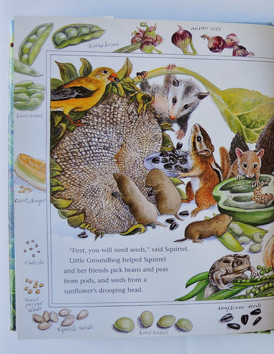 How Groundhog's Garden Grew by Cherry, Lynne