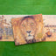 The Lion & the Mouse (Caldecott Medal Winner) by Pinkney, Je
