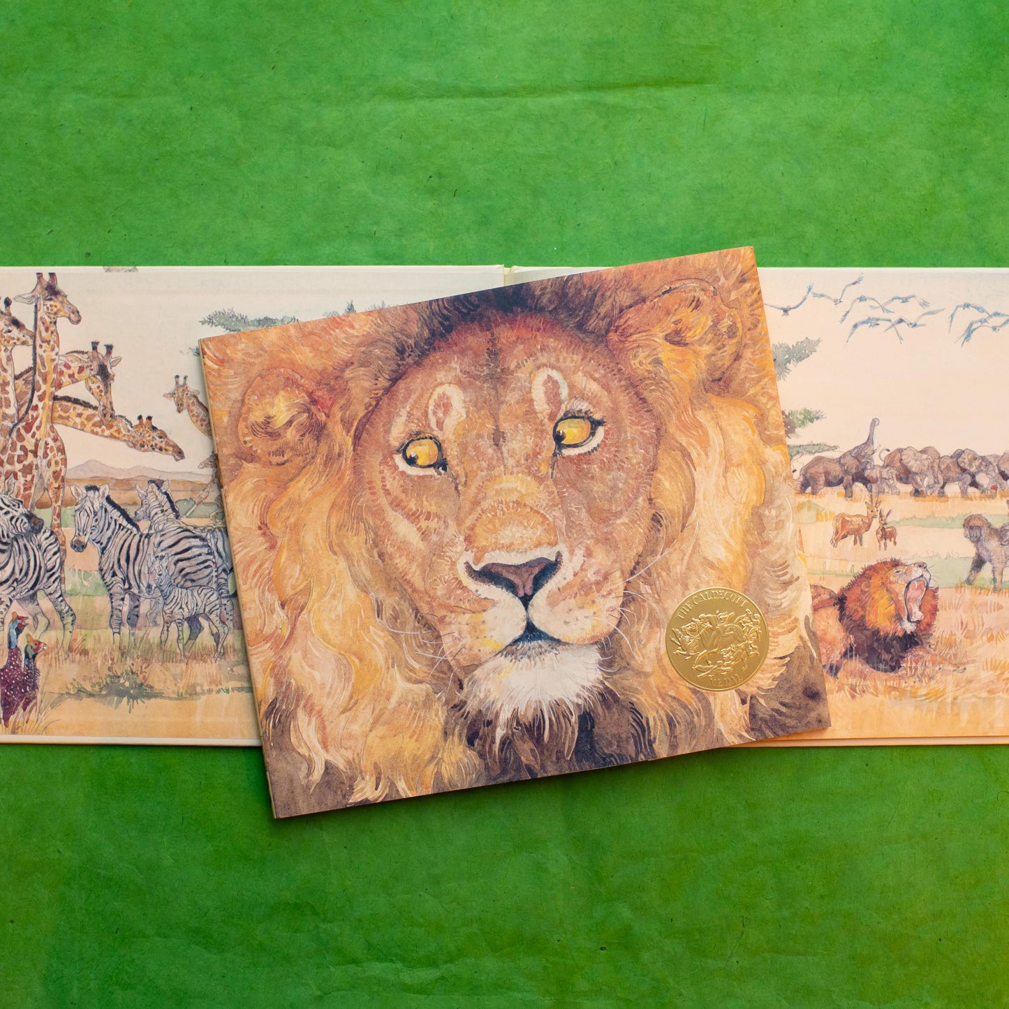 The Lion & the Mouse (Caldecott Medal Winner) by Pinkney, Je