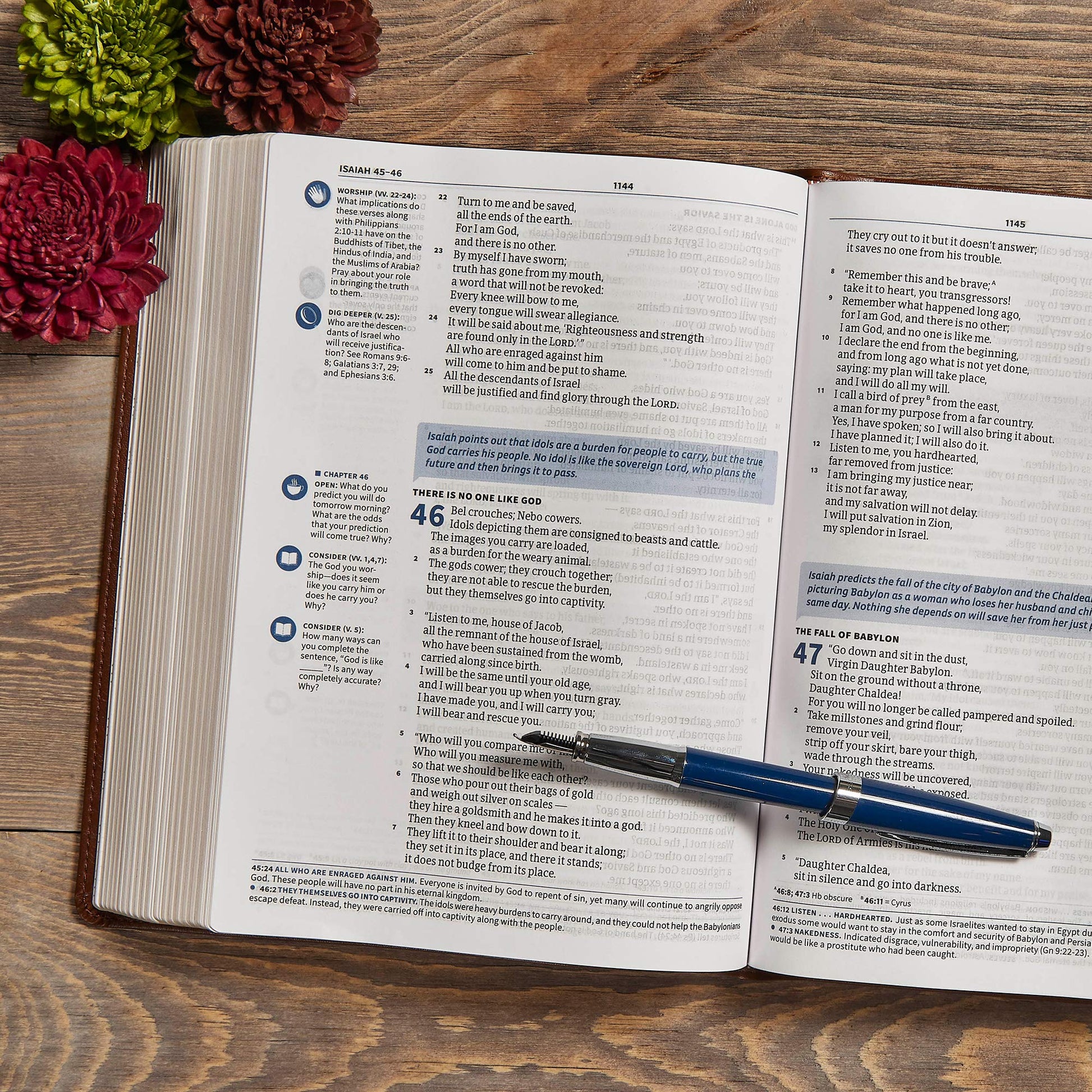 CSB Life Connections Study Bible, Brown LeatherTouch, Black Letter, Study Notes and Commentary, Margin Questions, Icons, Small Groups, Easy-to-Read Bible Serif Type
