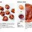 Simple: The Easiest Cookbook in the World